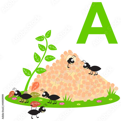 a for ant  kids alphabet 