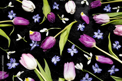 Fototapeta Naklejka Na Ścianę i Meble -  Tulips and a hyacinth