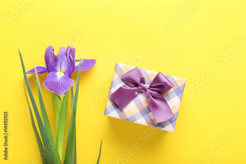 Fototapeta Naklejka Na Ścianę i Meble -  Purple iris flower with gift box on yellow background