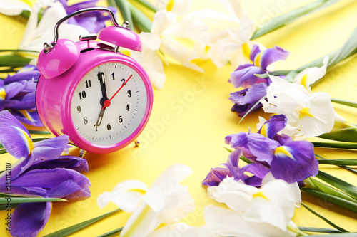Fototapeta Naklejka Na Ścianę i Meble -  Purple and white iris flowers with alarm clock on yellow background