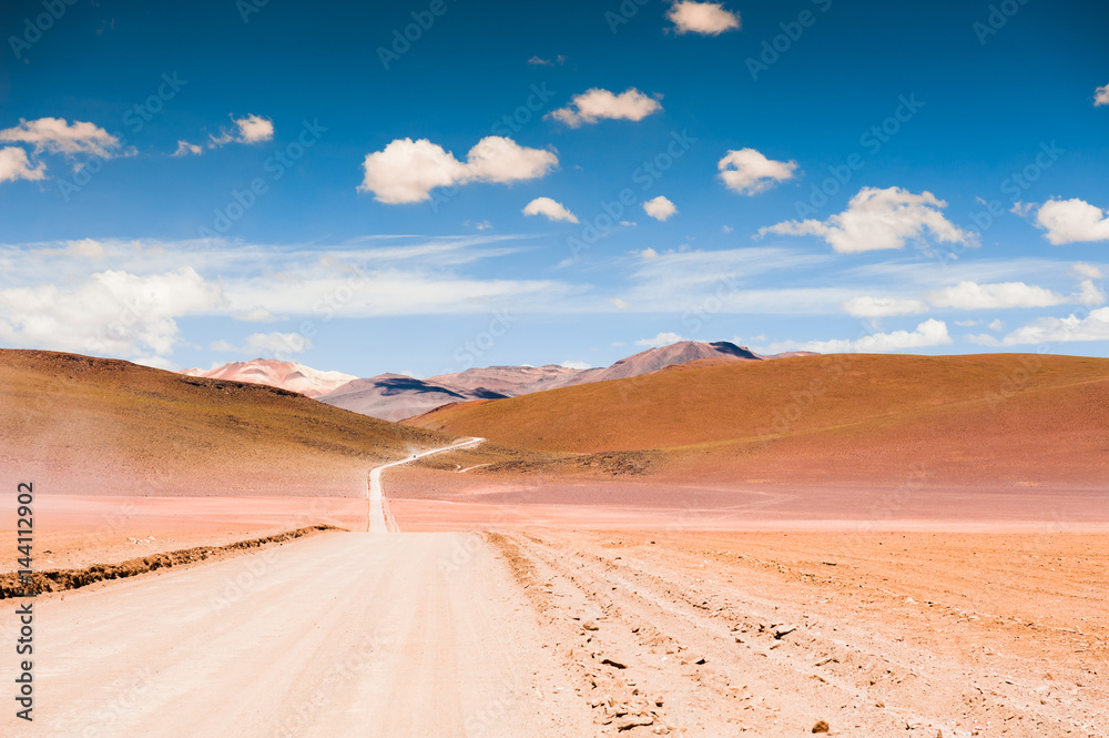 Road in the Altiplano, Bolivia