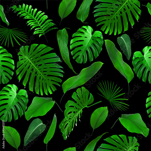 Seamless Tropical Jungle Leaves Pattern