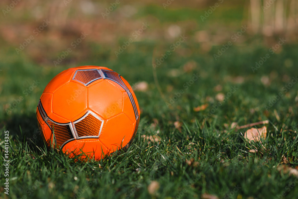 Fototapeta premium Soccer ball on a base of a cut tree, dry and old.
