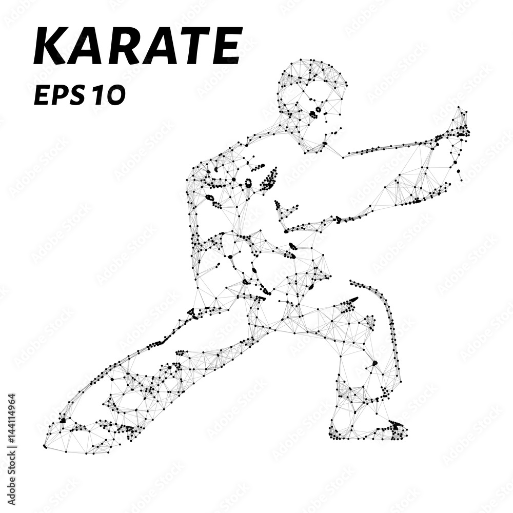 Karate consists of points, lines and triangles. The polygon shape in the form of a silhouette of karate against a white background. Vector illustration. Karate consists of points, lines and triangles. The polygon shape in the form of a silhouette of karate against a white background. Vector illustration.