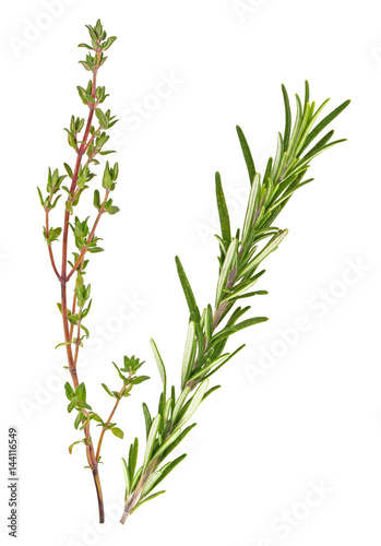 Thyme and rosemary sprigs isolated on a white background  Spices