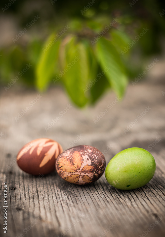 Obraz premium Easter eggs decorated with natural fresh leaves and boiled in onions peels