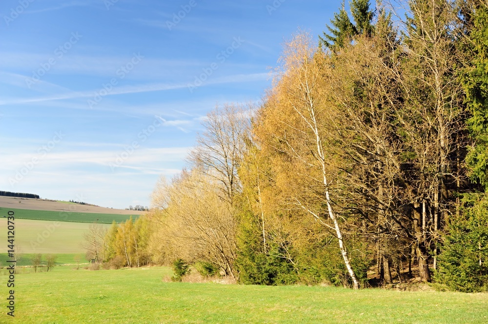 Fototapeta premium Beautiful spring landscape