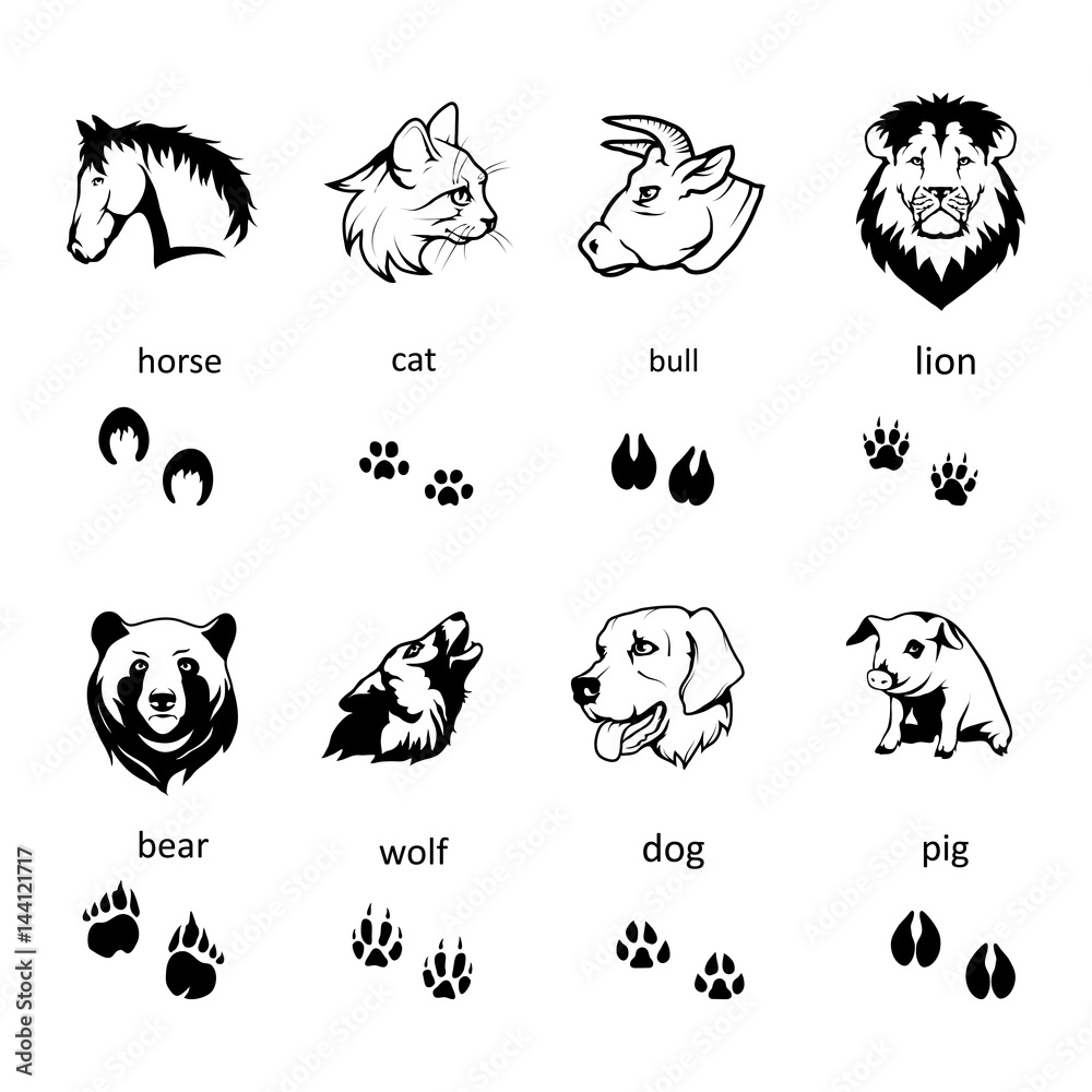 Set of different Animals Silhouettes and Trails with name. Vector Set of Black  Animal head isolated on white  Drawn Vector Illustration.  Stock Vector | Adobe Stock