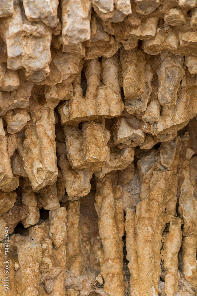 Petrified coral of the Red Sea on the shore Petrified coral of the Red Sea on the shore