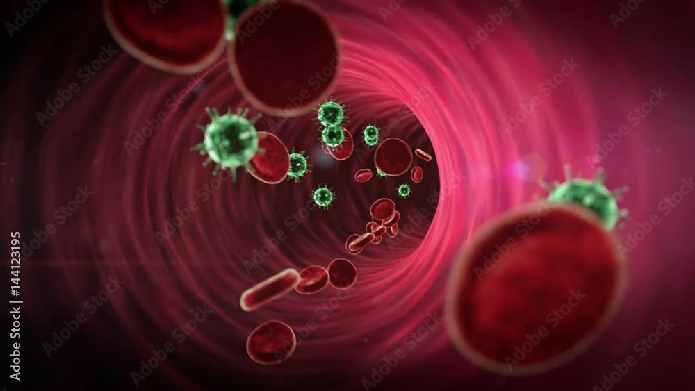 Coronavirus in the blood, inside the blood vessel, erythrocytes and viruses inside the blood vessel, High quality 3d render of blood cells, viruses in the human body