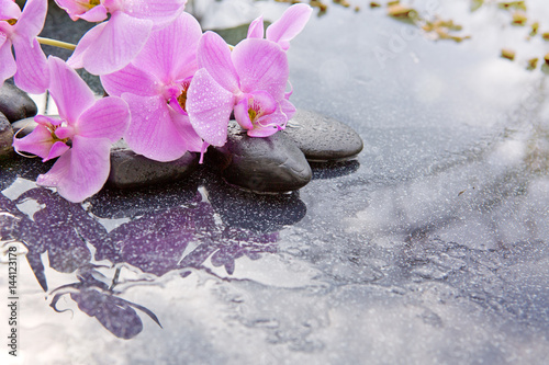 Spa stones and pink orchid on grey background.