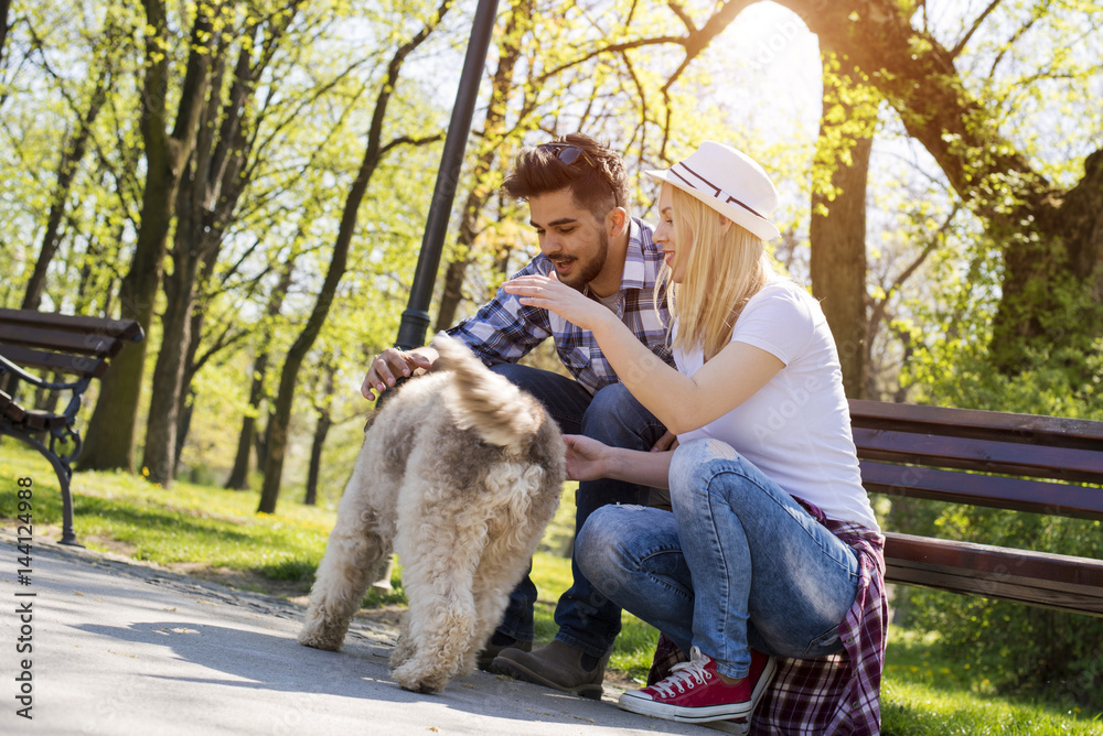 Young loving couple relaxing on the bench in park with a dog on beautiful sunny day Young loving couple relaxing on the bench in park with a dog on beautiful sunny day