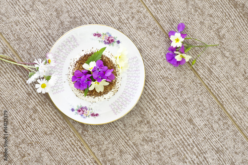 La panna cotta decorata con il cacao e con i fiorellini primaverili freschi