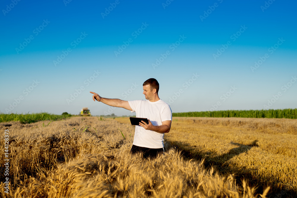 Farmer at wheat field checking online internet progress. Farmer at wheat field checking online internet progress.