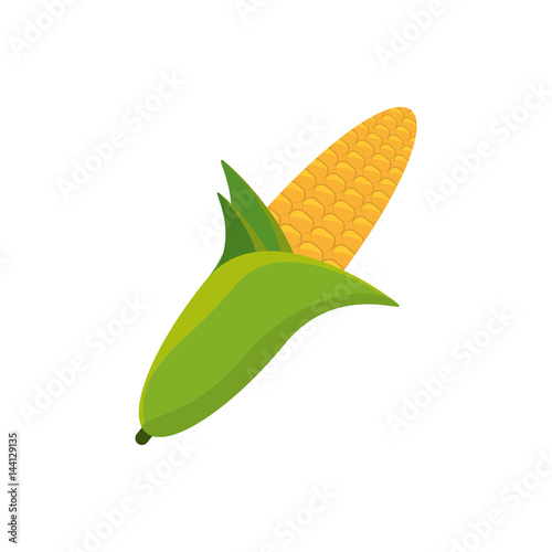 corn grain food picnic vector illustration eps 10