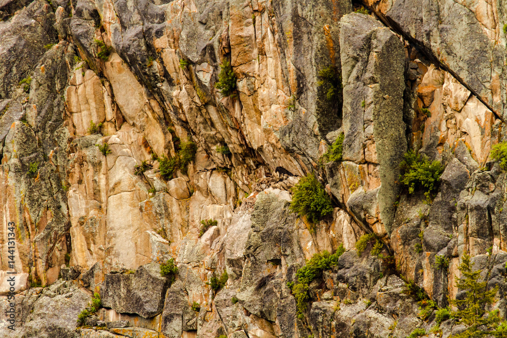 Golden Eagle Nest and Cliff in Yellowstone National Park Golden Eagle Nest and Cliff in Yellowstone National Park