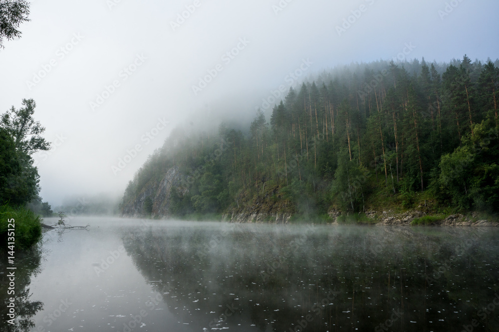 Foggy forrest river by the woods