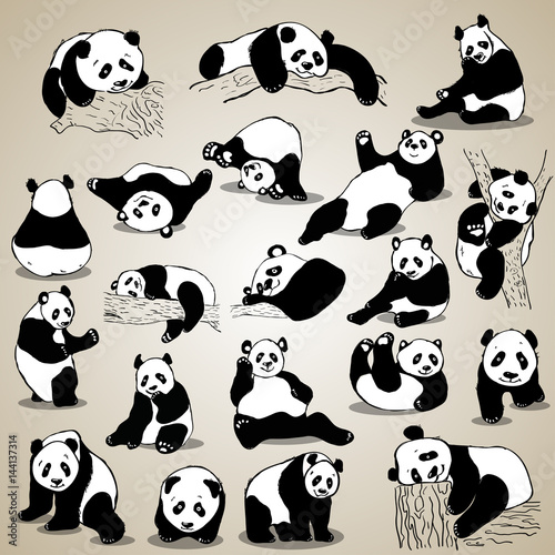 Fototapeta Naklejka Na Ścianę i Meble -  Cute cartoon panda set icons. Black white hand drawn doodle animal.