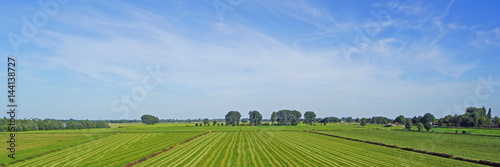 Akurat gemähte Wiese am Niederrhein ( NRW )