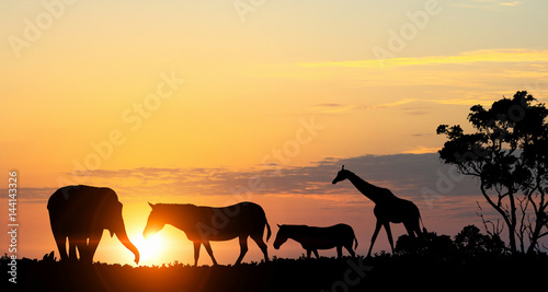 Natural Safari landscape in lights of sunset . Mixed media