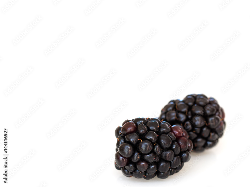 Blackberries on white background. Blackberries on white background.