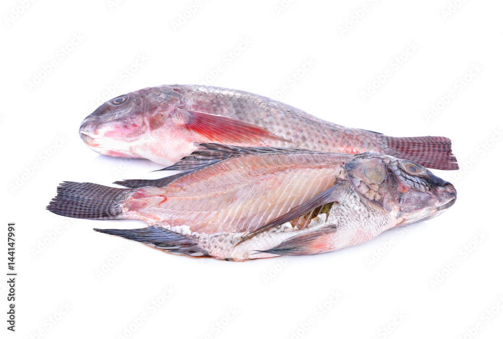 whole and cross section of fresh Nile Tilapia fish on white background whole and cross section of fresh Nile Tilapia fish on white background