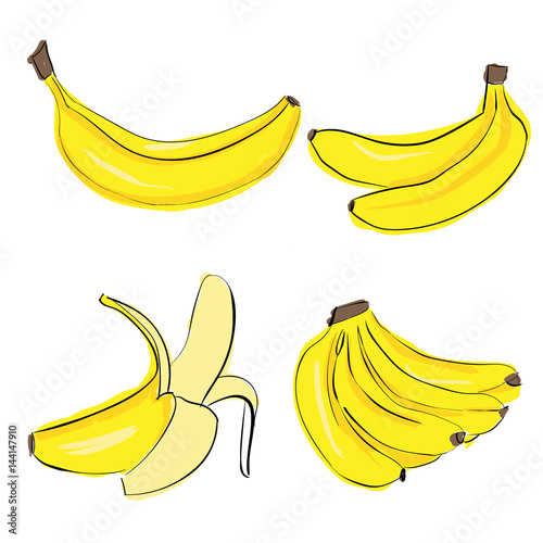 Hand draw banana colorful set