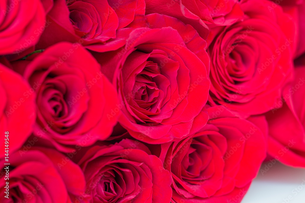 Close up of red roses. Close up of red roses.
