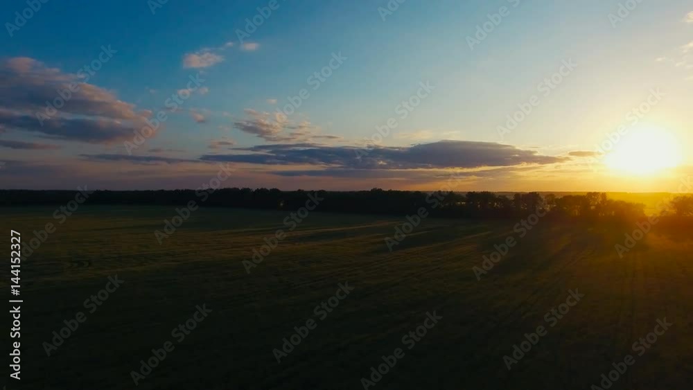 Flying over the lield at Sunset Flying over the lield at Sunset
