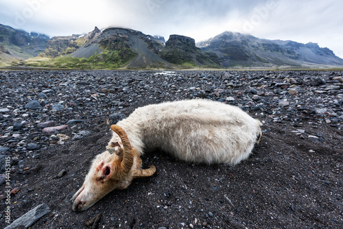 Iceland photo