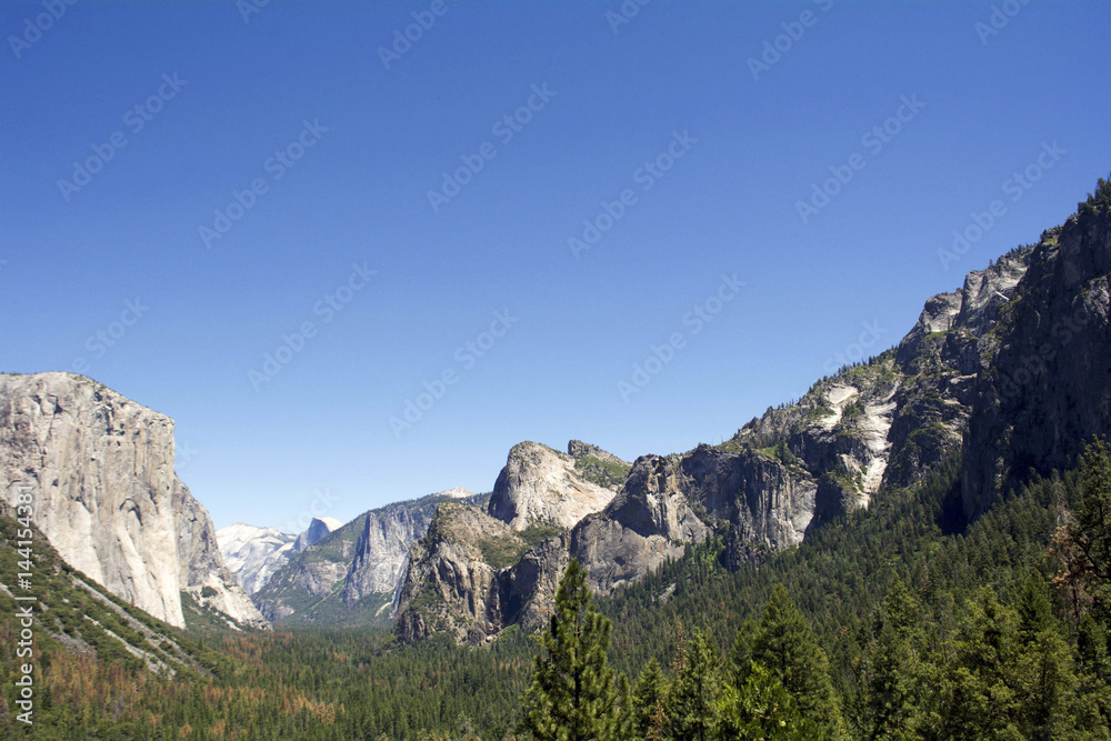 Views of trees, cliffs, and mountains in Yosemite National Park