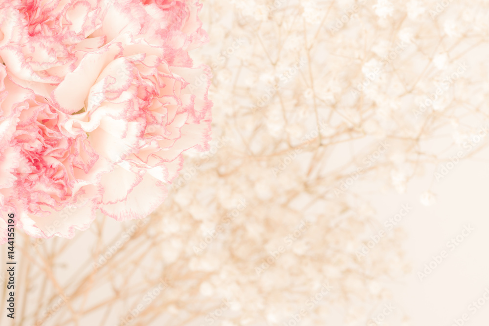 Fototapeta premium Pink Carnation Flowers Bouquet. soft filter.