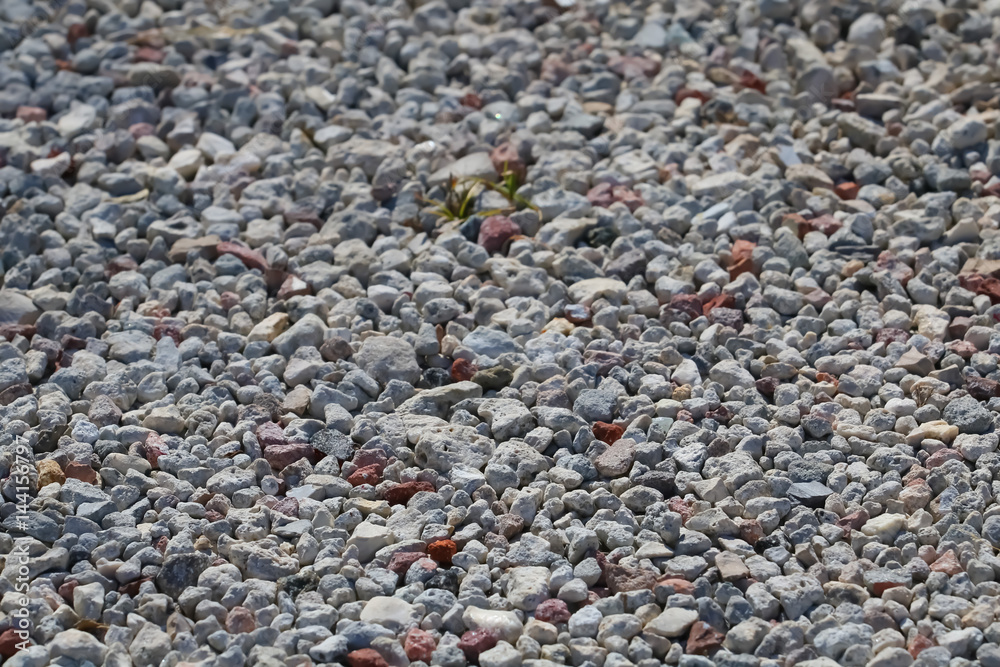 Rocks On The Ground Rocks On The Ground