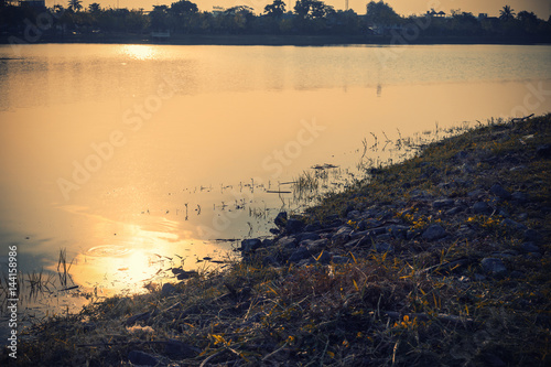 sun reflection with marsh