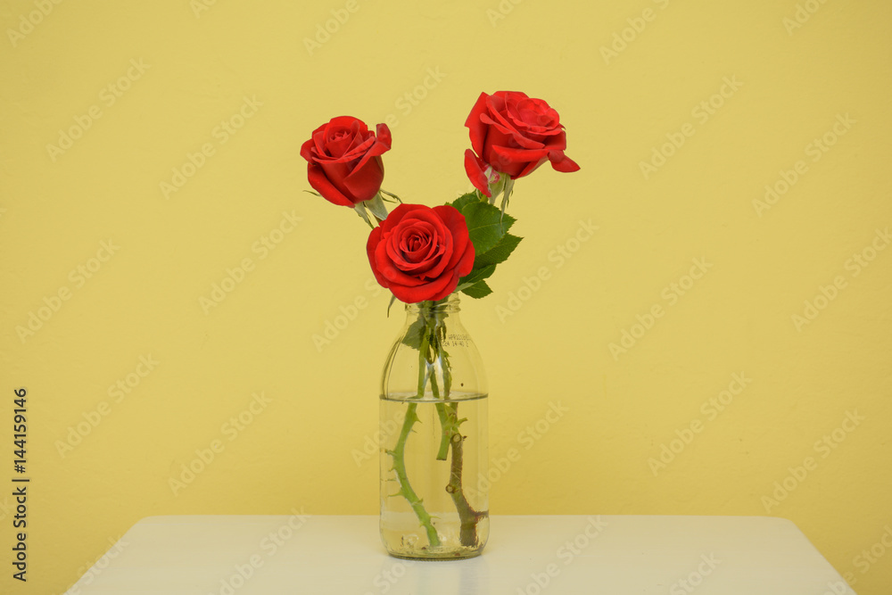isolated red rose flower with green leaves isolated red rose flower with green leaves