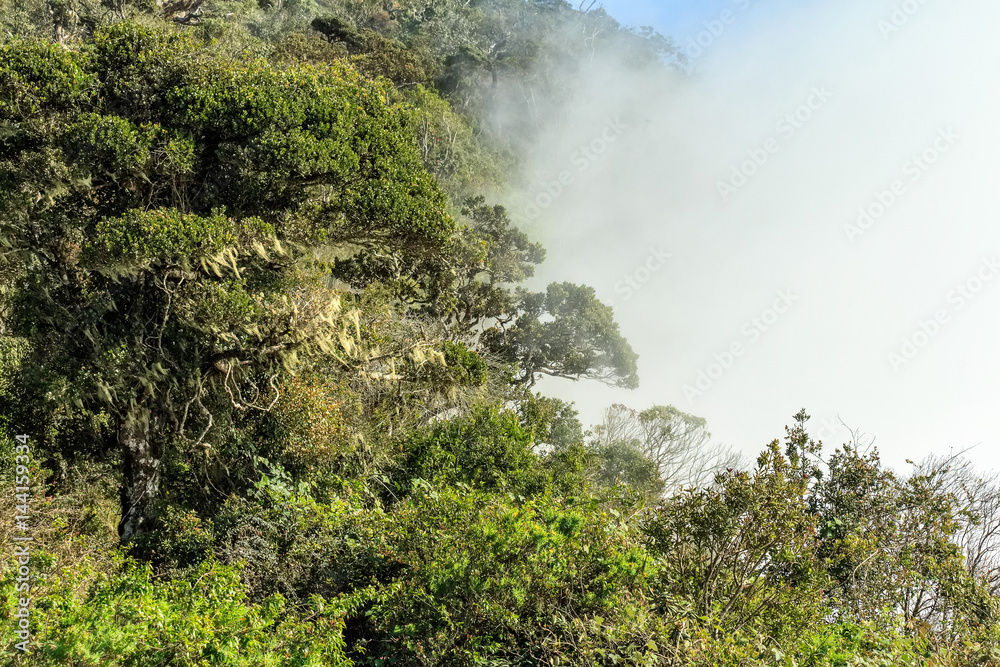 Beautiful view of Horton Plains Beautiful view of Horton Plains