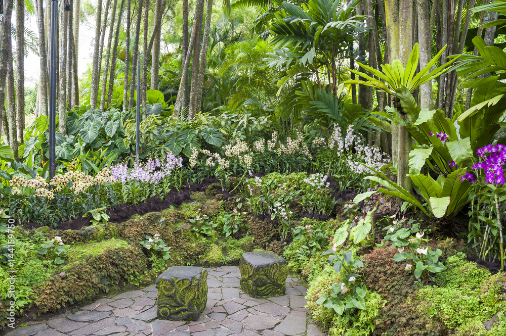 Obraz premium Jardin botanico de Singapur