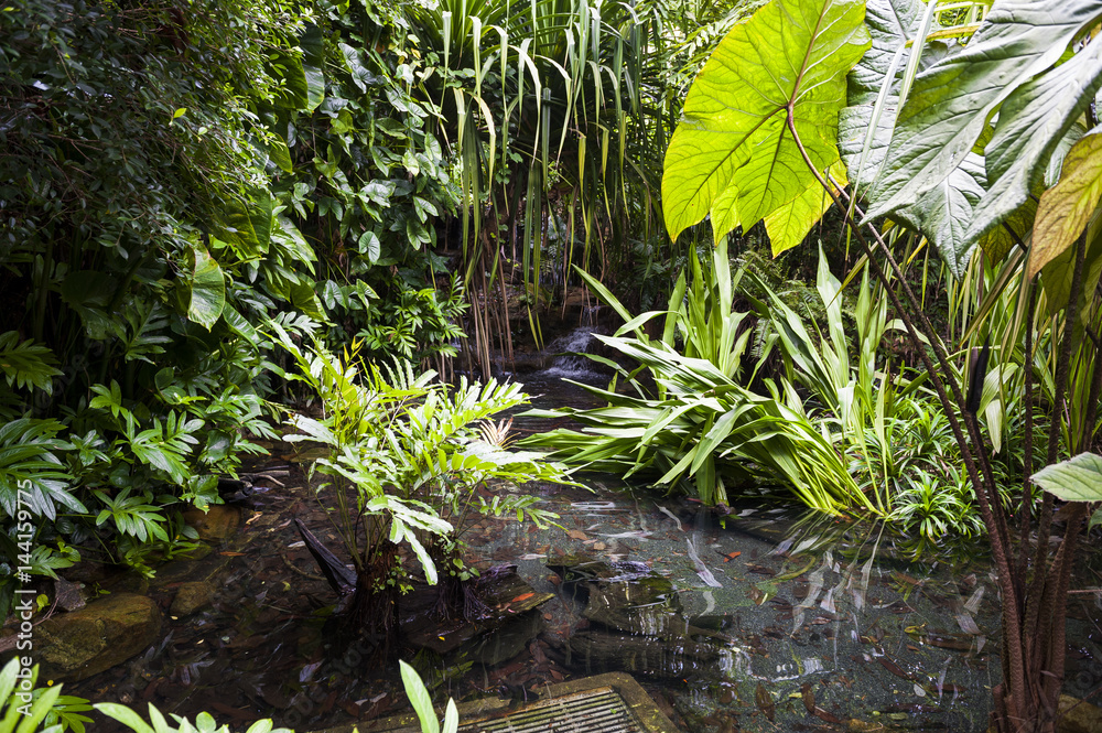 Jardin botanico de Singapur Jardin botanico de Singapur