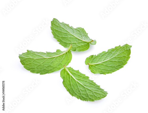 back of fresh mint leaf isolated on white background