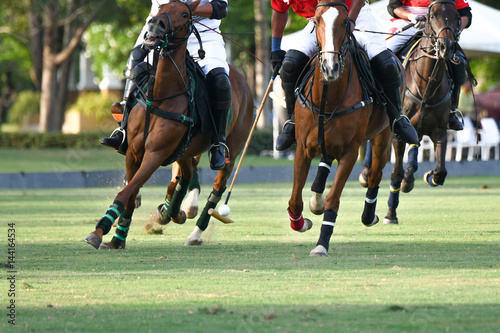 Polo players moving with polo ball.