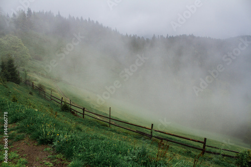 Morning dew fog sun rays in mountains photo