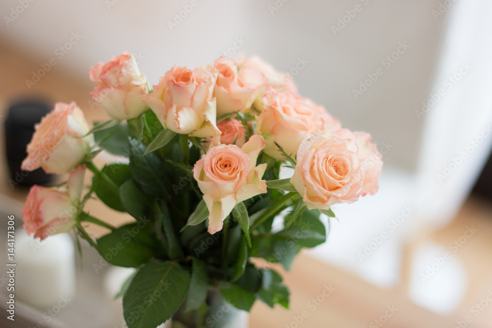 Obraz premium Zauberhafte rosa Rosen Nahaufnahme