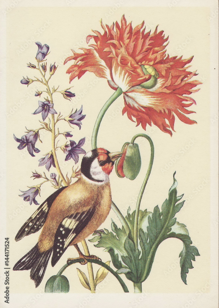Fototapeta Old postcard flowers and bird. Flower Paintings and bird for a greeting card.