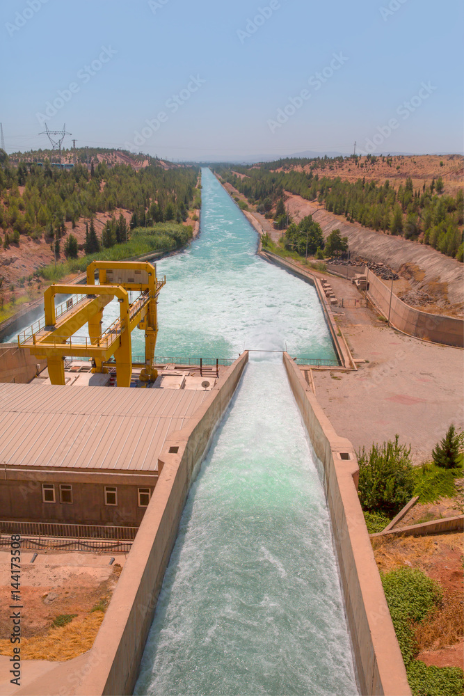 Fototapeta premium water flowing in an irrigation canal with sheep herd