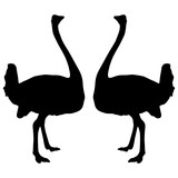 Ostrich black silhouette