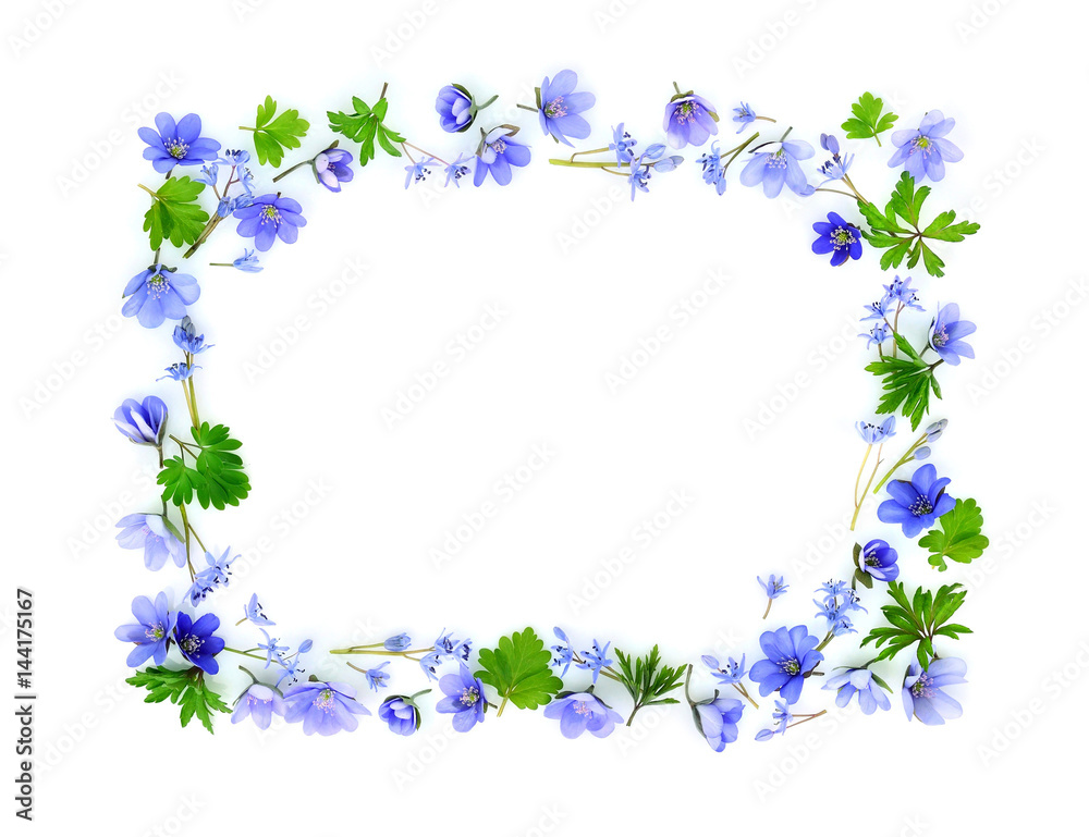 Floral rectangle made of blue spring flowers on white background. Top view. Frame of flowers.