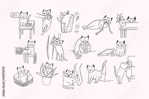 Set of problem with cat behavior. Kitten meowing, bites, scratches, marks sofa, sleeps on clothes, goes to the toilet, digs in the garbage, fishing. Cute hand drawn doodle illustration.