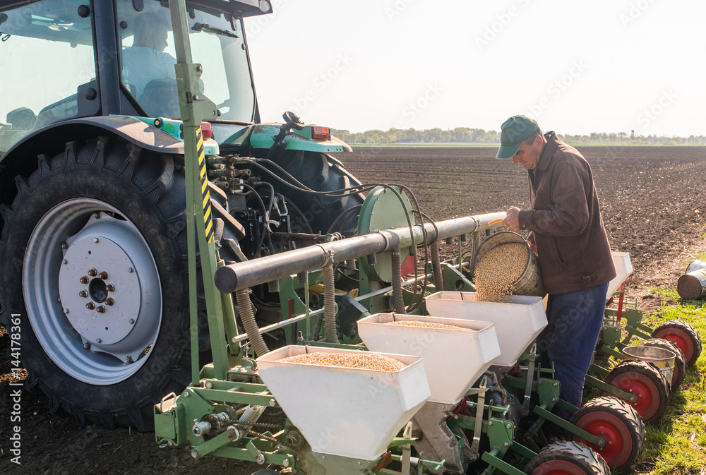 Obraz premium Farmer with can pouring soy seed for sowing crops at agricultural field in spring