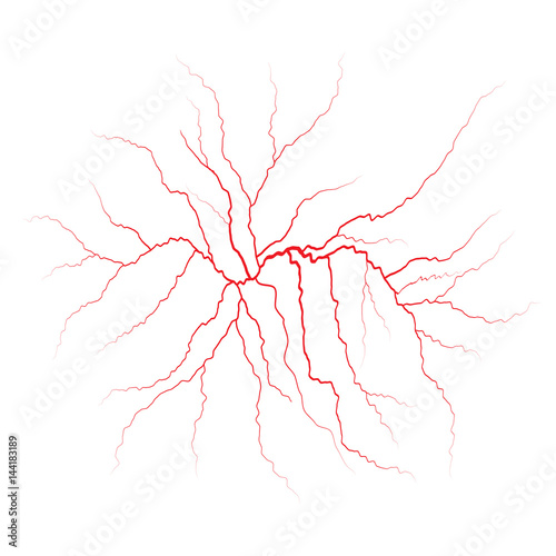 Red veins. Blood vessels and arteries. Vector illustration