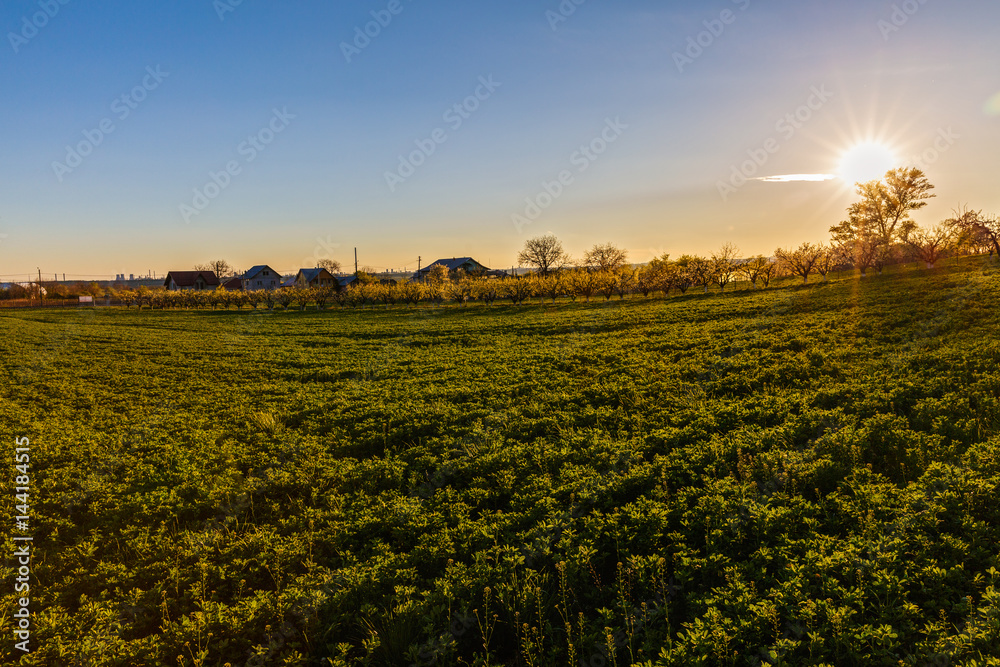 beautiful sunset over a field in rural country Romania